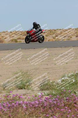 media/Mar-12-2023-SoCal Trackdays (Sun) [[d4c8249724]]/Turn 15 Inside Bloom (130pm)/